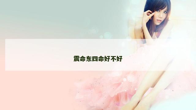 震命东四命好不好