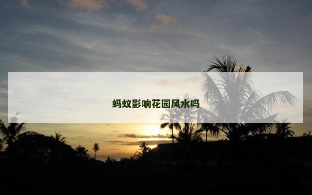 蚂蚁影响花园风水吗