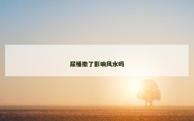 尿桶撒了影响风水吗