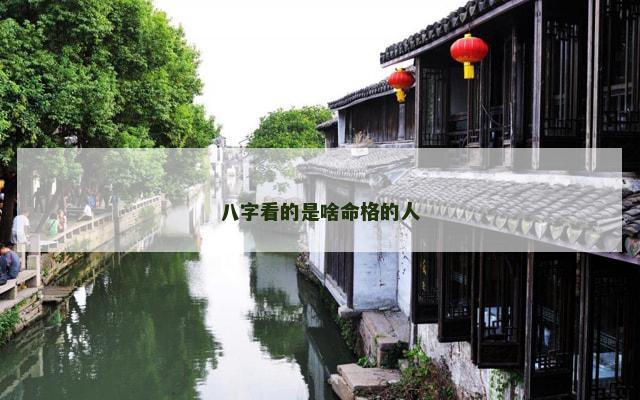 八字看的是啥命格的人