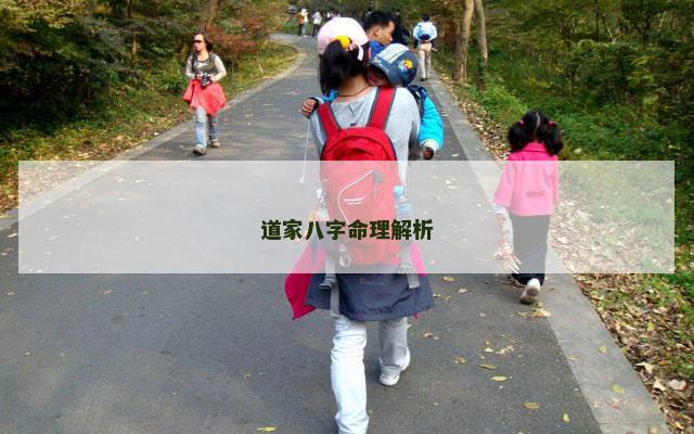 道家八字命理解析