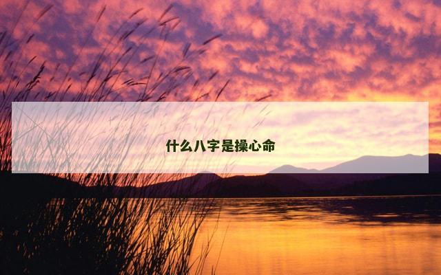 什么八字是操心命