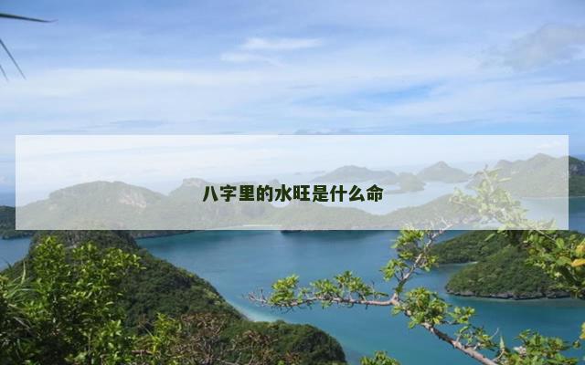 八字里的水旺是什么命