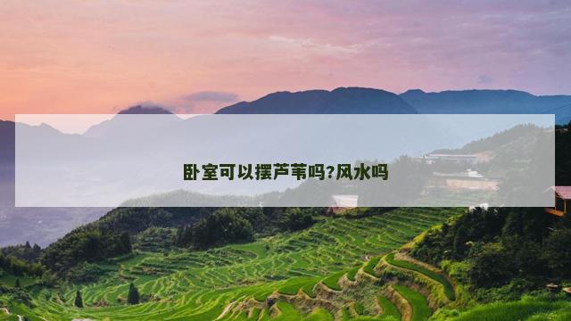 卧室可以摆芦苇吗?风水吗