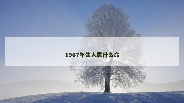 1967年生人属什么命