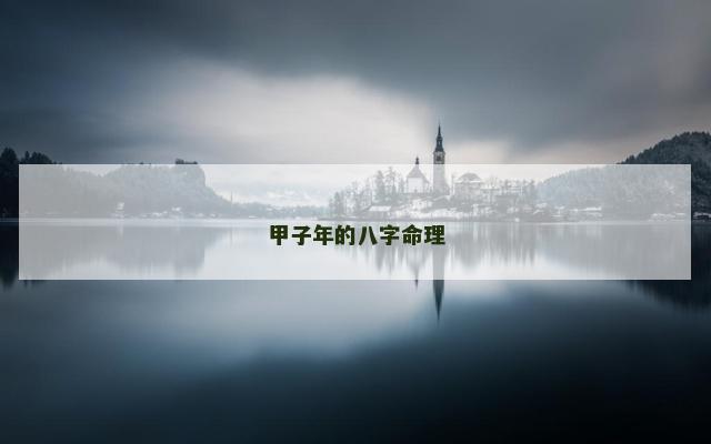 甲子年的八字命理