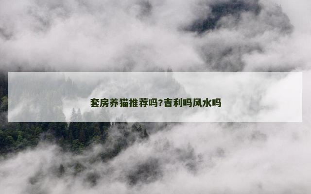 套房养猫推荐吗?吉利吗风水吗