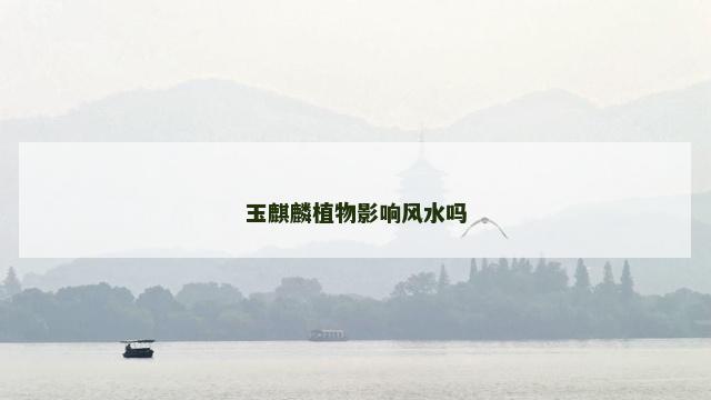 玉麒麟植物影响风水吗