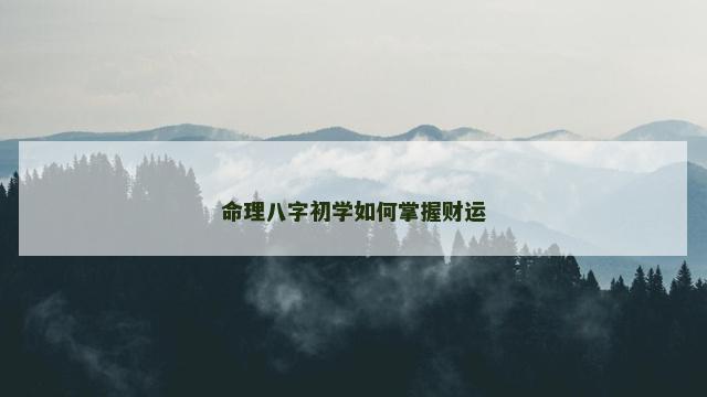 命理八字初学如何掌握财运