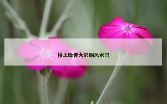 楼上噪音大影响风水吗