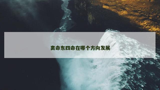 离命东四命在哪个方向发展