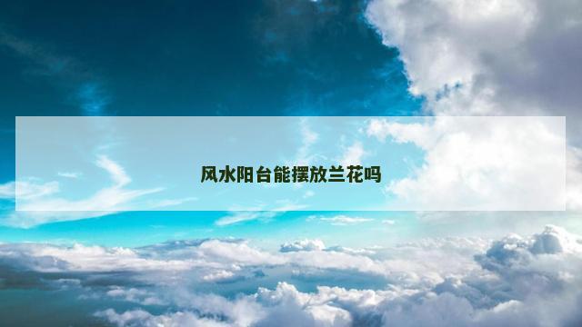 风水阳台能摆放兰花吗