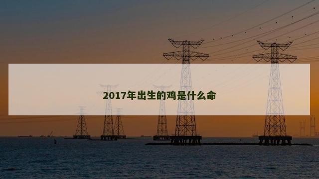 2017年出生的鸡是什么命