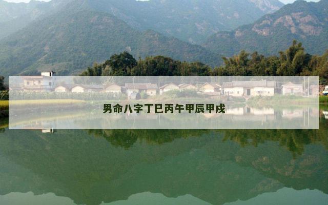 男命八字丁巳丙午甲辰甲戍
