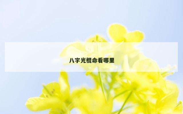 八字光棍命看哪里