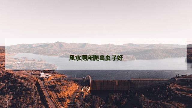 风水厕所爬出虫子好