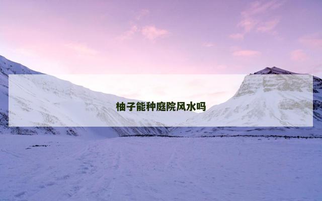 柚子能种庭院风水吗
