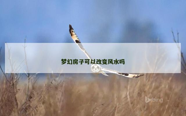 梦幻房子可以改变风水吗