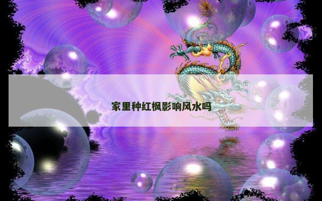家里种红枫影响风水吗