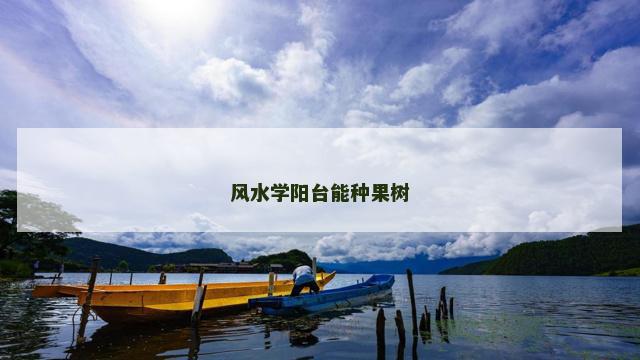 风水学阳台能种果树