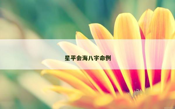 星平会海八字命例