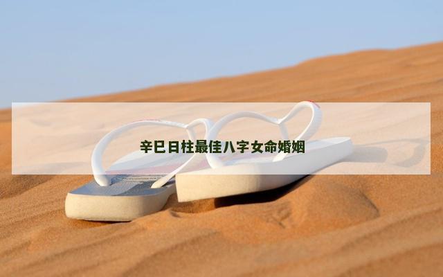 辛巳日柱最佳八字女命婚姻