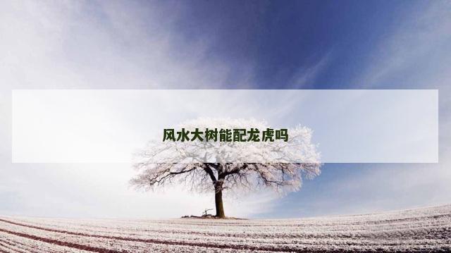 风水大树能配龙虎吗