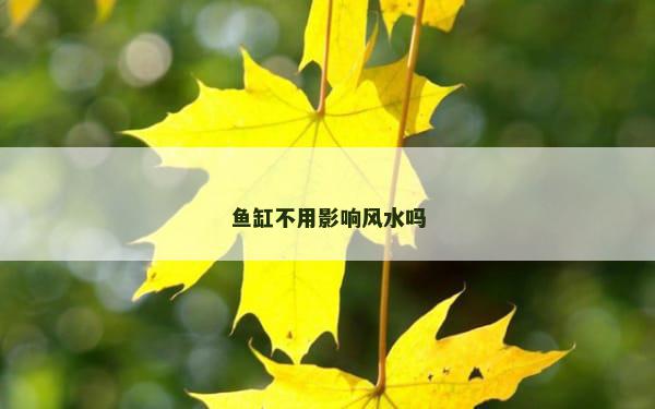 鱼缸不用影响风水吗