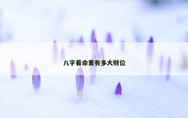 八字看命里有多大财位