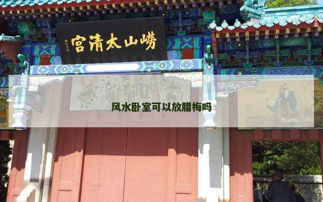 风水卧室可以放腊梅吗