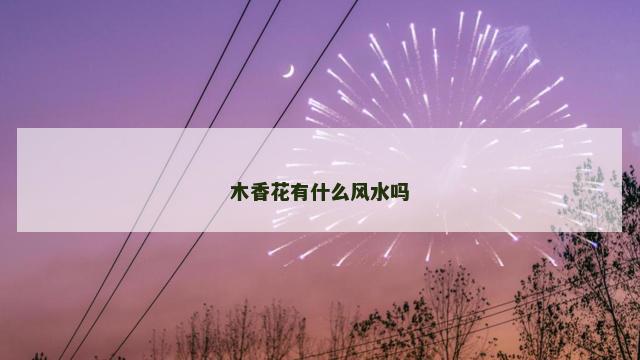 木香花有什么风水吗