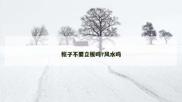 柜子不要立板吗?风水吗