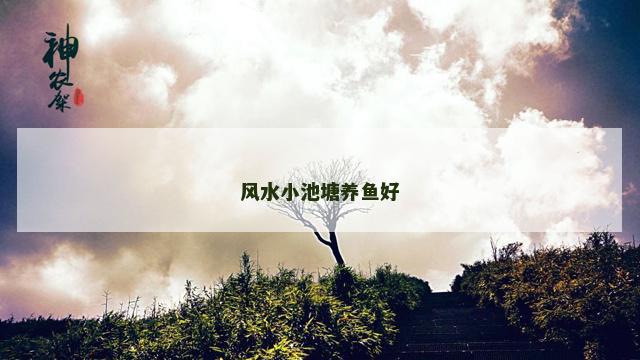 风水小池塘养鱼好