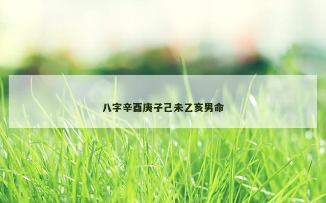 八字辛酉庚子己未乙亥男命