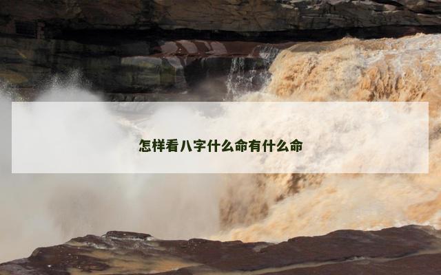 怎样看八字什么命有什么命