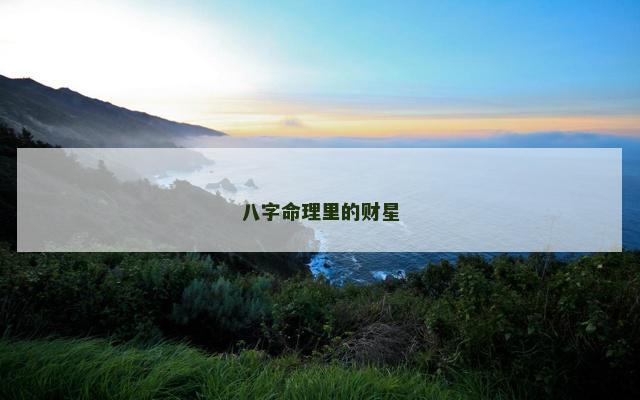 八字命理里的财星