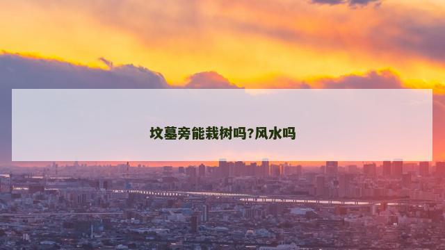 坟墓旁能栽树吗?风水吗