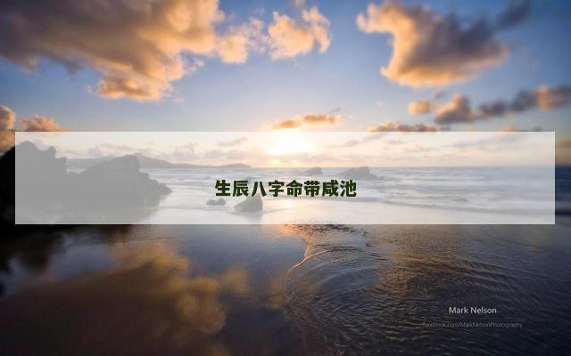 生辰八字命带咸池