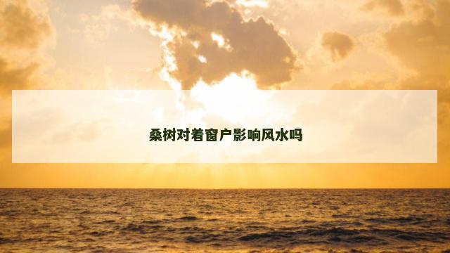 桑树对着窗户影响风水吗