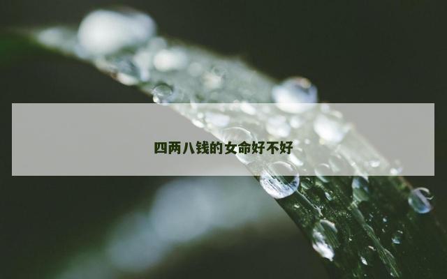 四两八钱的女命好不好