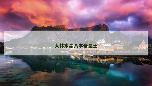 大林木命八字全是土