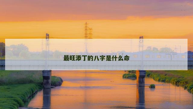 最旺添丁的八字是什么命
