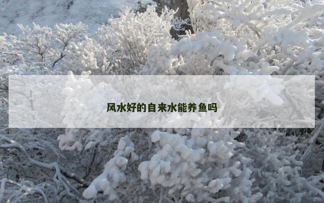 风水好的自来水能养鱼吗