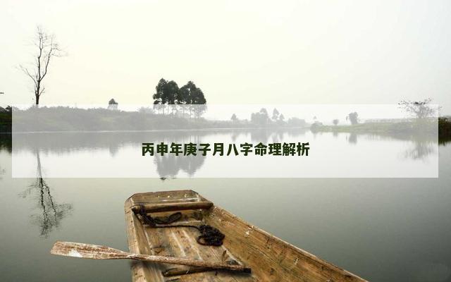 丙申年庚子月八字命理解析