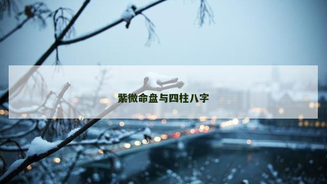 紫微命盘与四柱八字