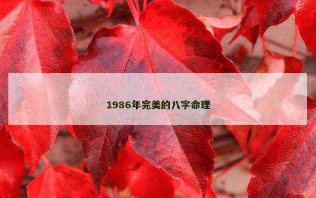 1986年完美的八字命理