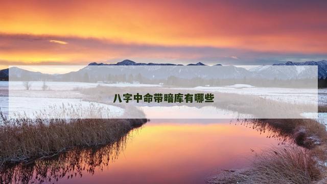 八字中命带暗库有哪些