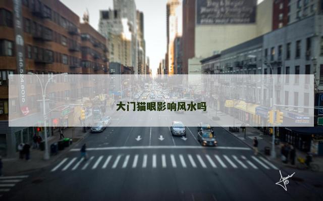 大门猫眼影响风水吗