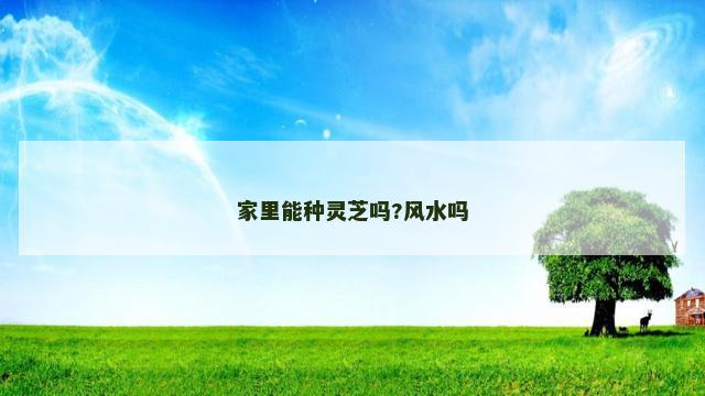 家里能种灵芝吗?风水吗