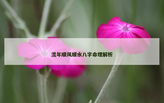 流年顺风顺水八字命理解析